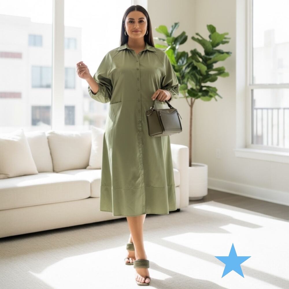Harshman Muriel Matcha Green Cotton Shirt Dress 3/4 Sleeve NWT $229 New 2X 18 20